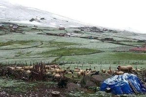 Mayıs sonunda kar sürprizi!