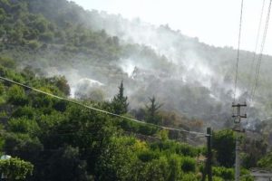 Silifke'de 10 dönüm orman yandı