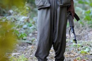5 terörist güvenlik güçlerine teslim oldu