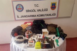 Bingöl'de bir terörist teslim oldu