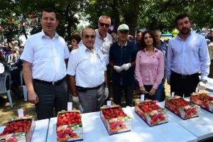 Bursa Orhangazi'de çilek festivali coşkusu