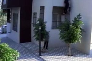 ''Örümcek Adam'' gibi tırmanarak 8 eve girdi