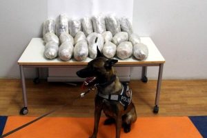 Otomobilin tamponundan 17 kilo 830 gram kubar esrar çıktı