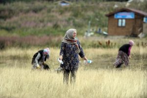 Bursa Uludağ'da kadın temizlik timi işbaşında!