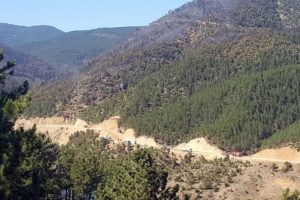 Kütahya'daki yangın kontrol altında