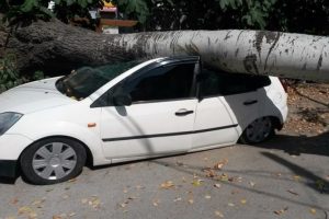 Sakarya'da faciadan dönüldü!