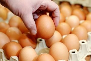15 yumurta için 15 bin lira ceza yedi