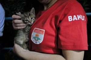 Bursa'da metro istasyonunda kedi kurtarma operasyonu!
