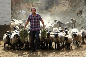 Bursa'ya Ukrayna'dan getirdi, siparişlere yetişemiyor