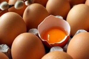 Tavuk yumurtası üretimi arttı