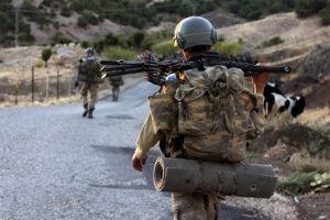 Bitlis'te 1 terörist etkisiz hale getirildi