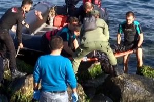 Sahilde ceset şoku!
