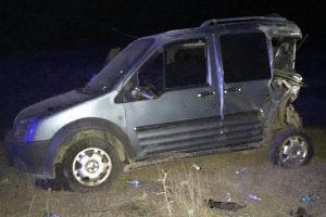 Yola çıkan domuzlar, kazaya yol açtı: 8 yaralı