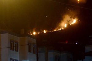 Bodrum'da yangın! Saatlerdir söndürülemedi