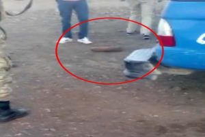 Siverek kırsalında bulundu: Jandarma alarma geçti