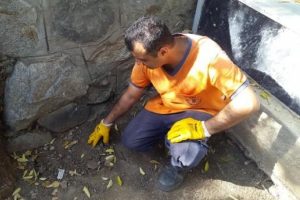 Bursa'da mezarlık duvarının dibinde cenin bulundu