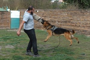 Bursa'da sayaç okuyanlara köpek eğitimi