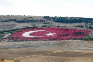 20 bin ton taşla dev Türk bayrağı
