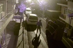 At arabalı hırsızlar kamerada