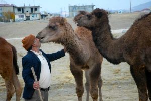 Çok sevdiği develerine torunlarının adını verdi