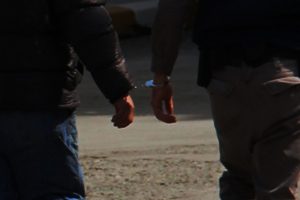 Van'da terör operasyonu: 16 tutuklama