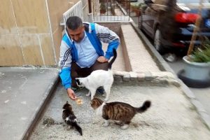 Bursa'nın hayvansever savcısı: Hayvanlar mal değil candır