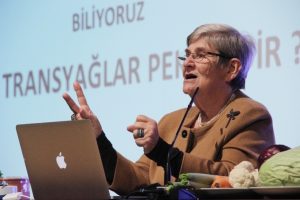 Canan Karatay: ''Erkek milletine söylüyorum''
