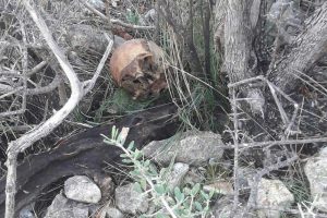 Çalılıklarda insan kemikleri bulundu