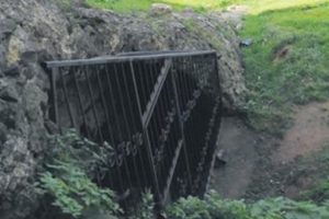 Şehir efsanesi sanılıyordu kentsel dönüşümde ortaya çıktı