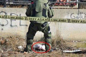 Bomba sanılan bezin içerisinde ölü kedi bulundu