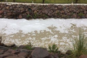 Manisa'da park içindeki derede oluşan köpükler tedirgin etti