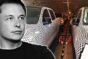 Elon Musk, ''Yapmak için can atıyorum'' demişti: Uçakta görüntülendi!