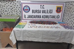 Bursa'da jandarmadan kumar oynanan derneğe operasyon