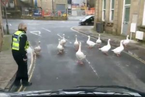 Polis otosunun önünü kestiler