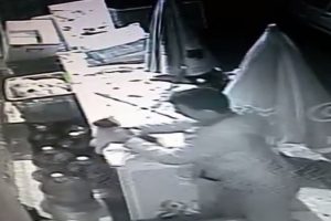 Kediyi boğarak öldüren cani kamerada
