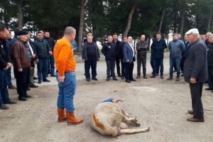 Bursa'da Taşıyıcılar Kooperatifinde yeni dönem