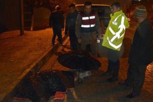 Yaralı eşeğe asker şefkati