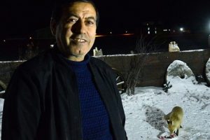 Aç kalan tilkileri bahçesinde besliyor