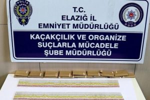 280 tüp kobra yılanı zehiri ele geçirildi