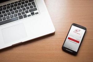 E-devlette tercüme edilmiş sabıka kaydı yoğunluğu