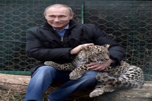 Putin'e kötü haber