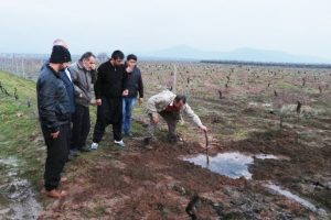 Meraklı köylüler yürekleri ağızlara getirdi