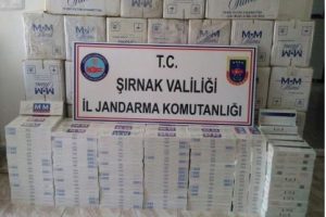 Şırnak'ta 6 bin 860 paket kaçak sigara ele geçirildi