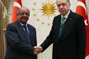 Erdoğan, Cezayir Dışişleri Bakanı'nı kabul etti