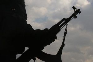 Omranlı köyünü terör örgütü YPG'den temizledi