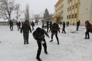 Bitlis ve Van'da eğitime kar engeli