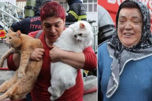 Dumanlar binayı sardı, can pazarı yaşandı!