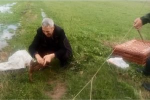 Bursa'da ördek avlayan avcıya ceza!