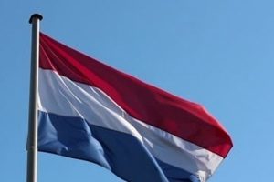 Hollanda'da cami yapılması planlanan alana 23 haç diktiler