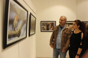 Bursa'da, görülen ve nadir görülen kuşlar sergisi
